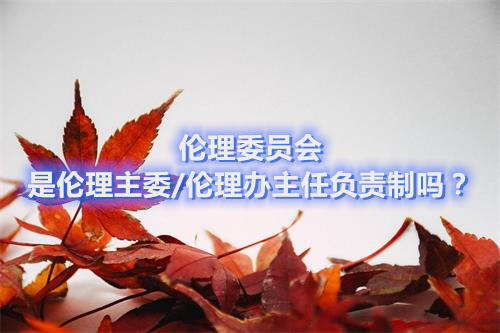 倫理委員會是倫理主委/倫理辦主任負責(zé)制嗎？(圖1)