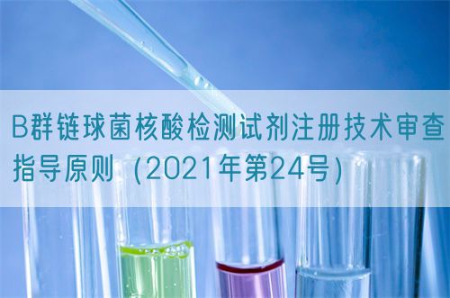 B群鏈球菌核酸檢測試劑注冊技術(shù)審查指導(dǎo)原則（2021年第24號）