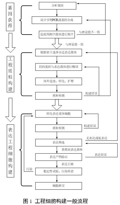 重組人源化膠原蛋白原材料評價指導(dǎo)原則(2023年第16號)(圖3) 重組人源化膠原蛋白原材料評價指導(dǎo)原則(2023年第16號)(圖3)