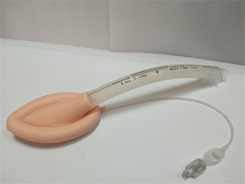 一次性使用醫(yī)用喉罩注冊技術審查指導原則(2018年修訂)(2018年第107號)(圖1) 一次性使用醫(yī)用喉罩注冊技術審查指導原則(2018年修訂)(2018年第107號)(圖1)